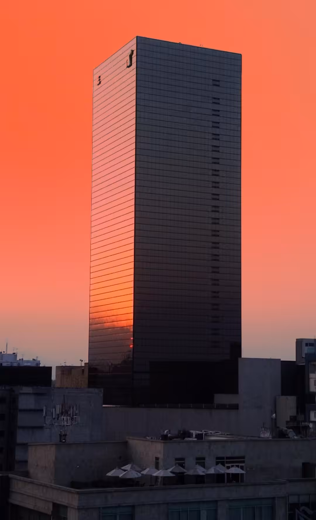 BUILDING IN THE REDLIGHT SUN