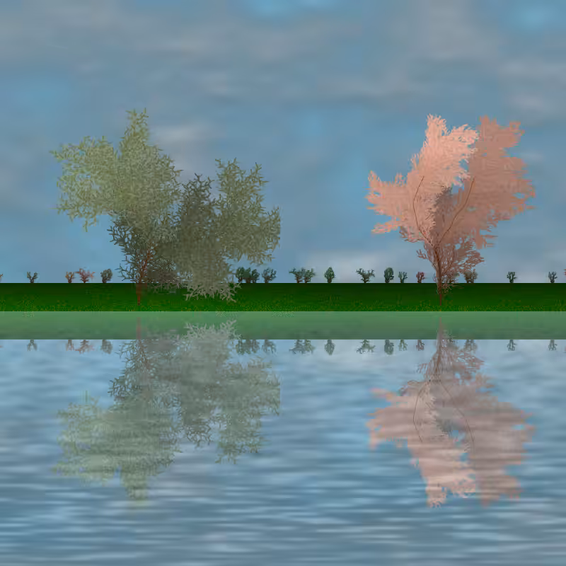 The dancing grove #58