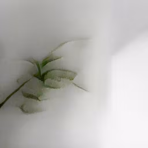 Milo Poelman - Artifacts1 - a plant in a white room