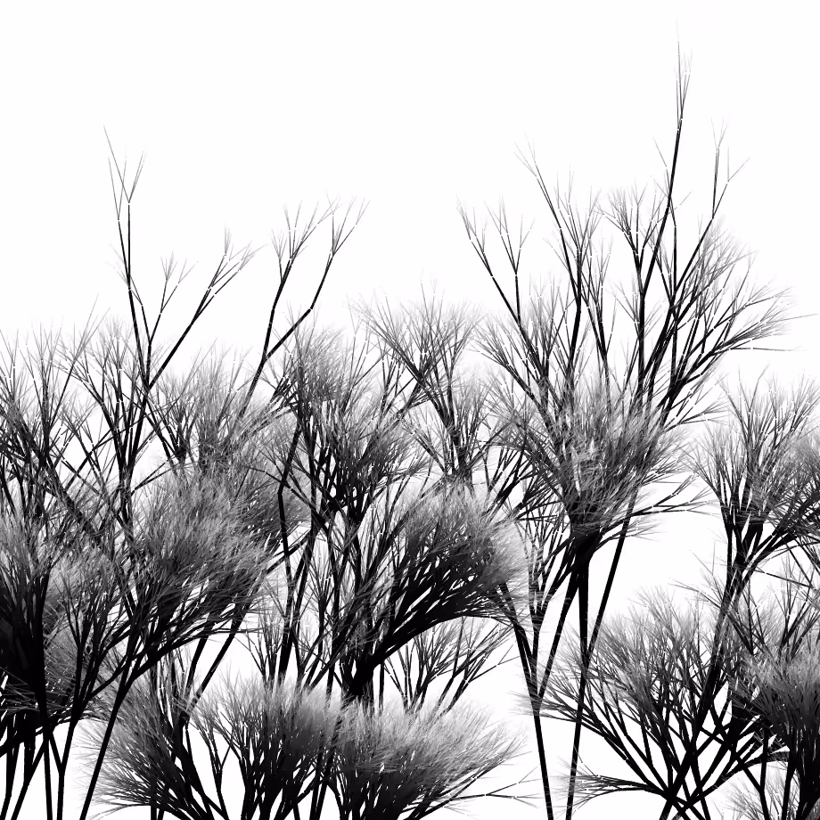 Recursive tree growth.