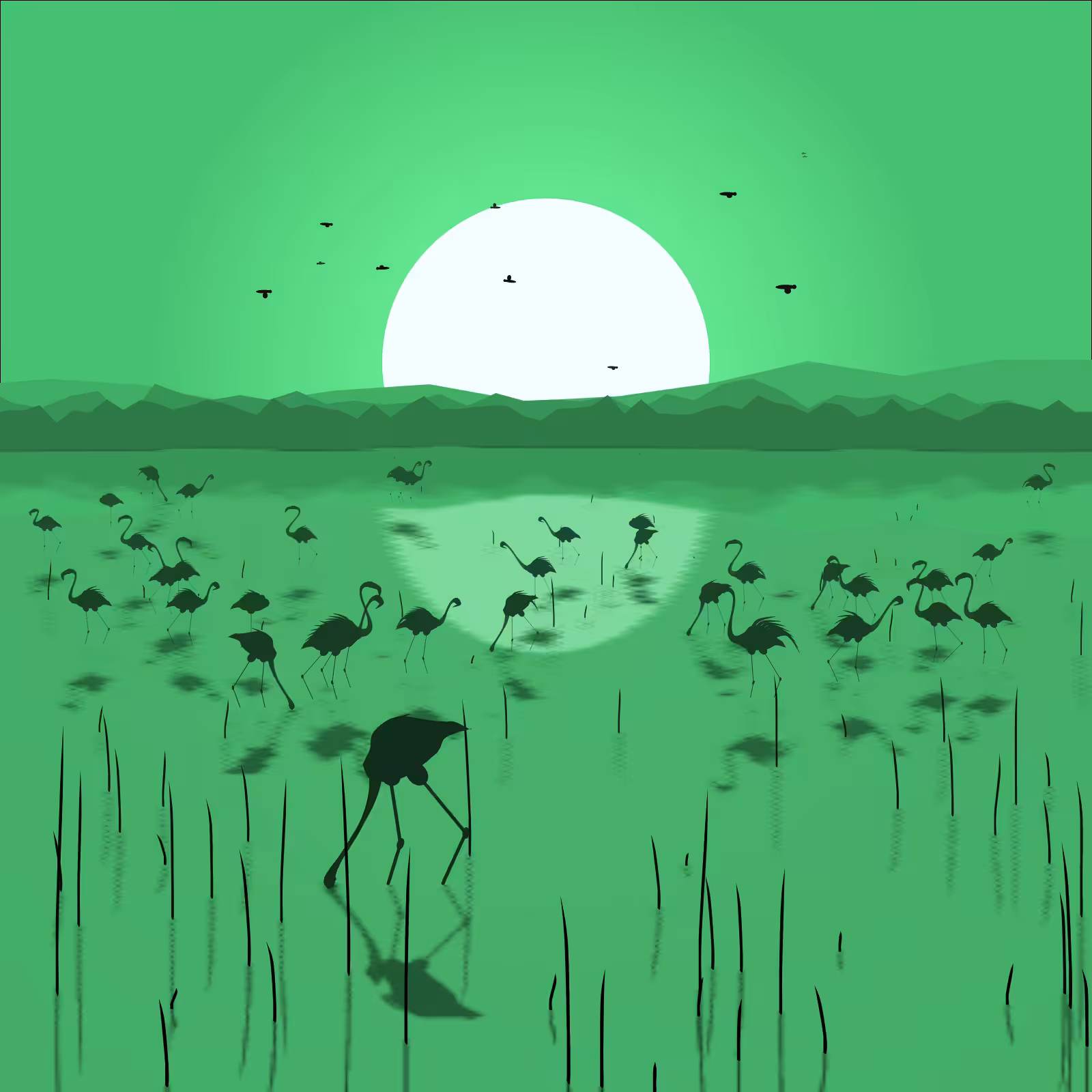 Flamingo Delta #40