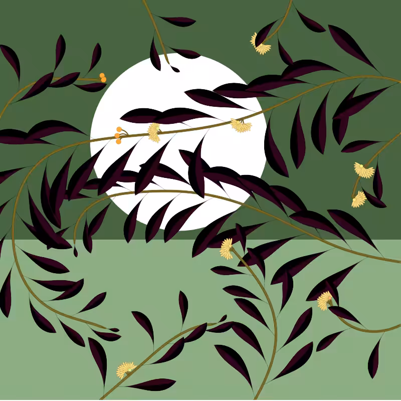 Through the leaves #447