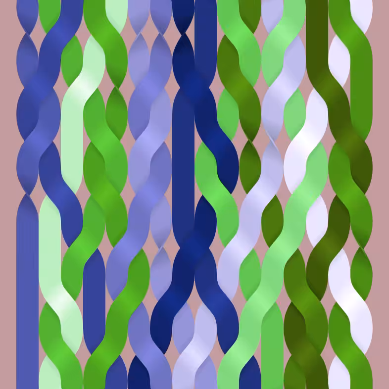 Endless Braids #12