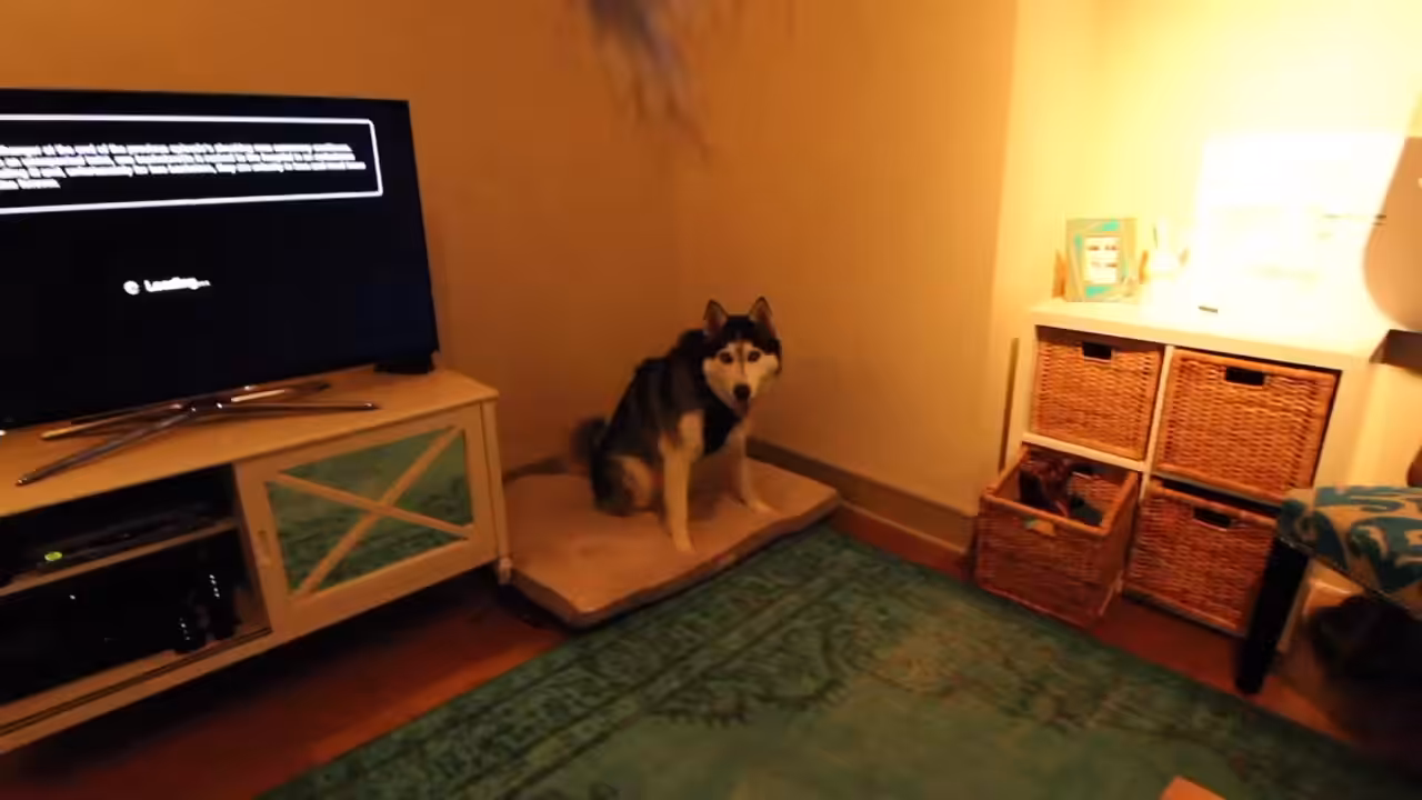 Happiness Noise
