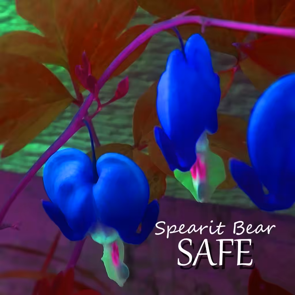 "Safe" Spoken Word Poem