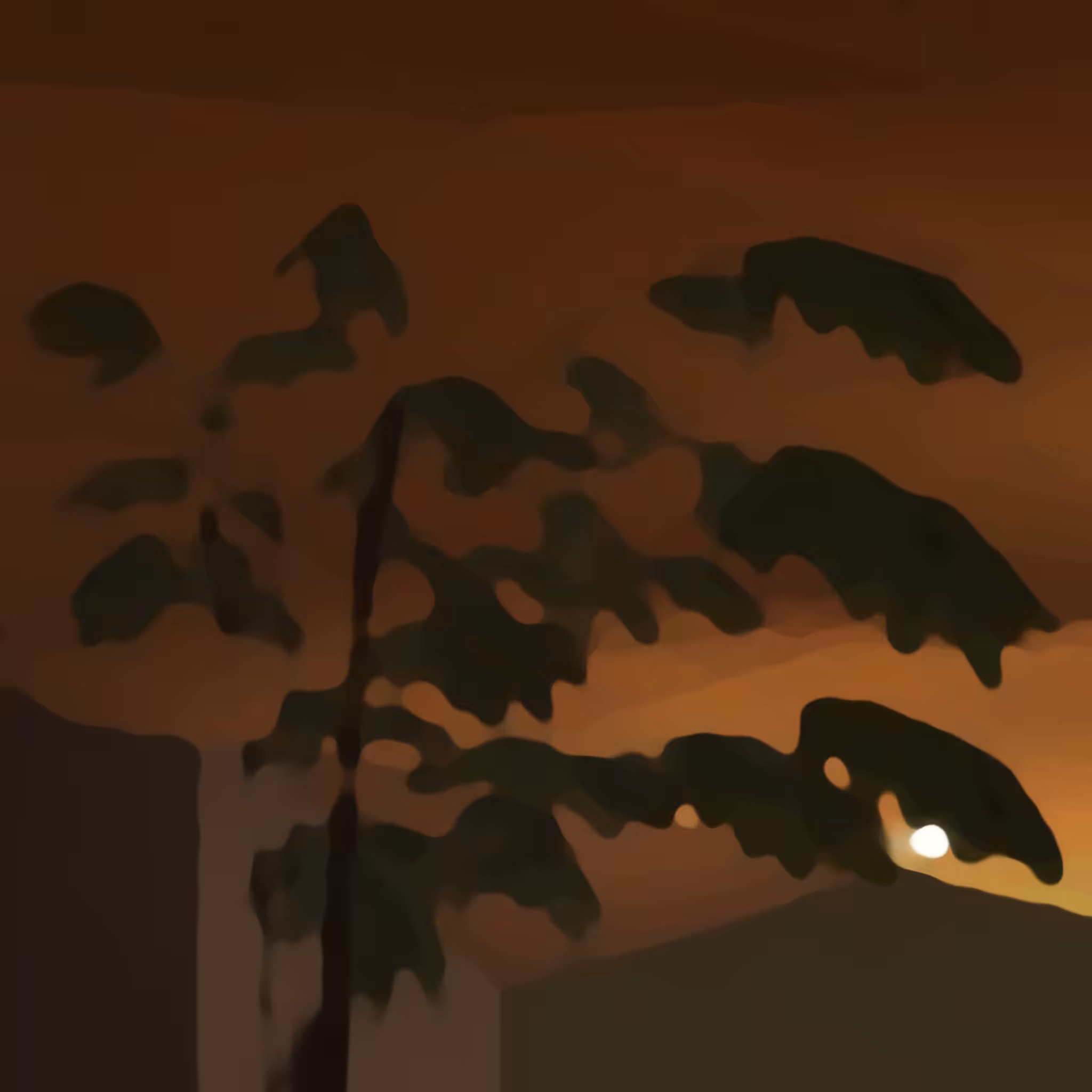 sol