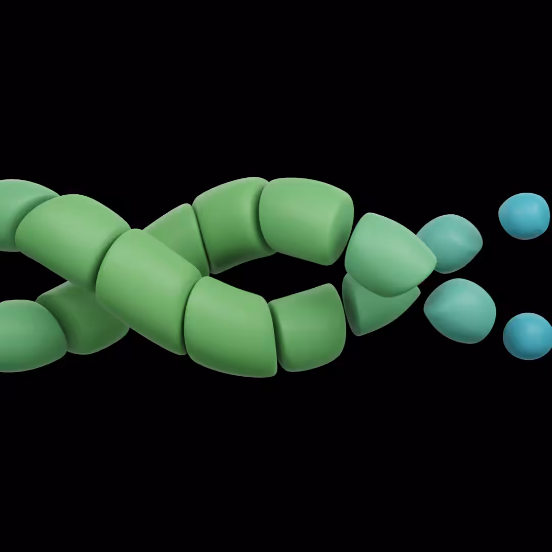 Double helix
