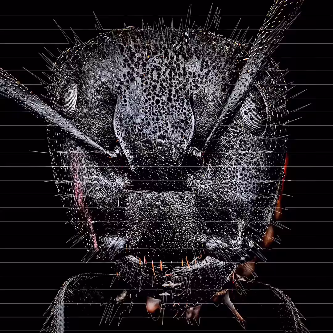 “Galactic Alien Insect Warrior-02”