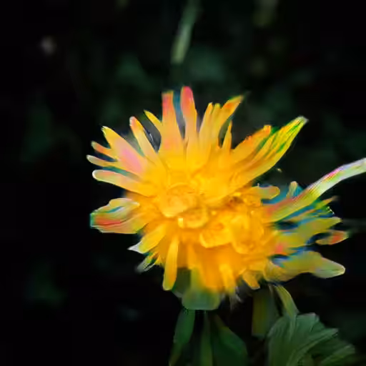 Flowers in the Awakening