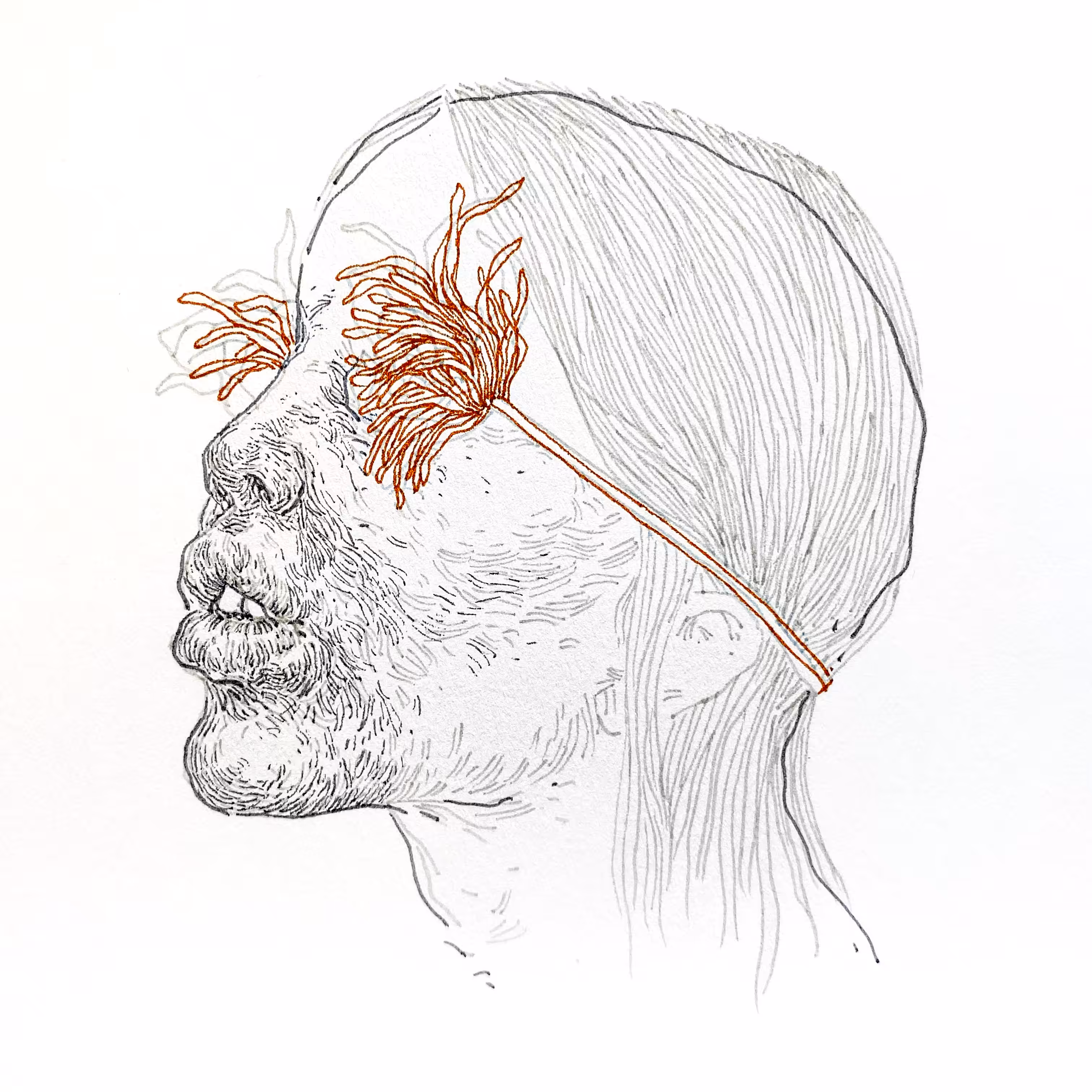 Portraits: 46 (Vision)