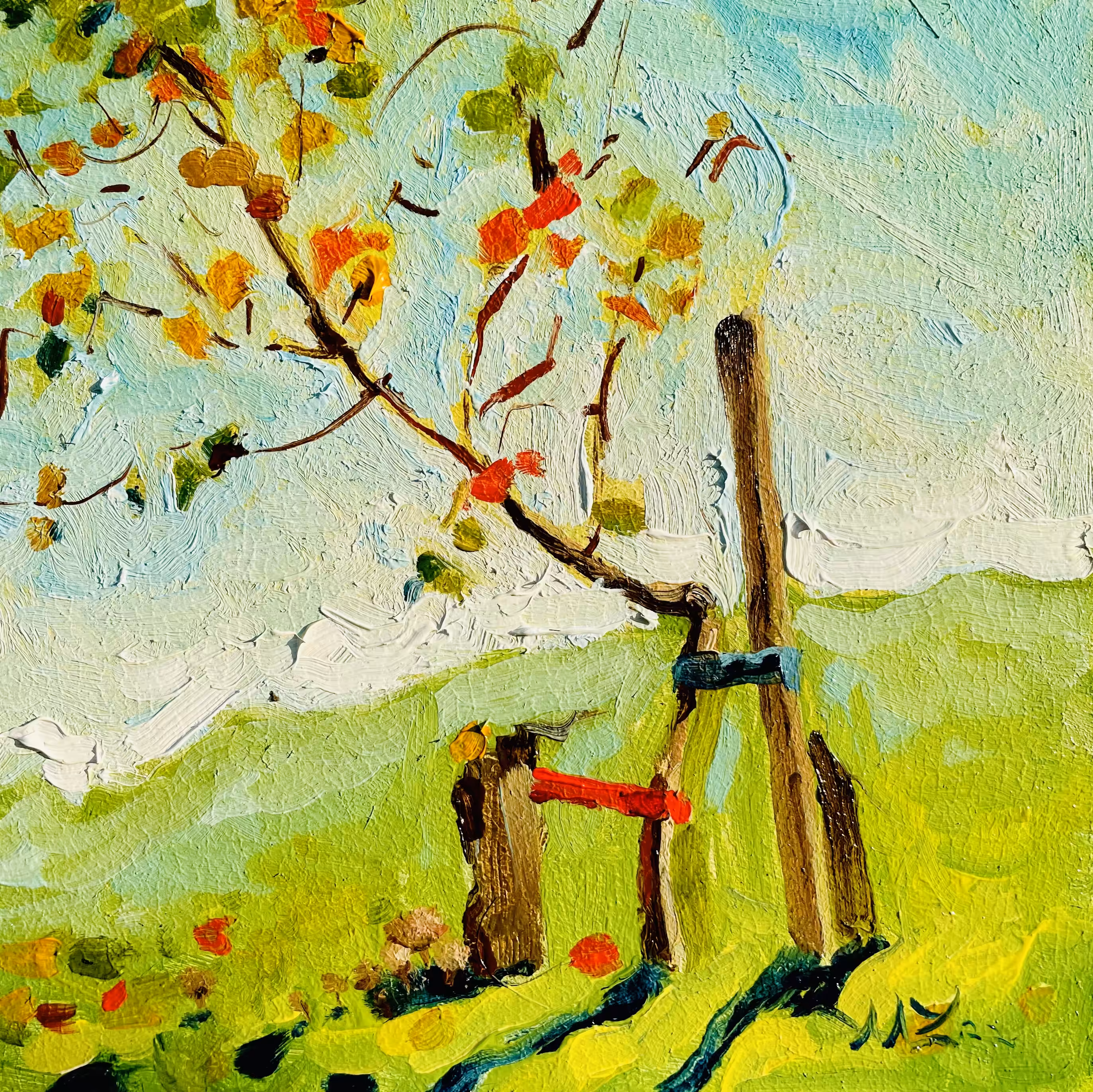 Bright autumn.