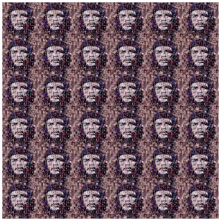 FACE BIOGRAPHY  : CHE