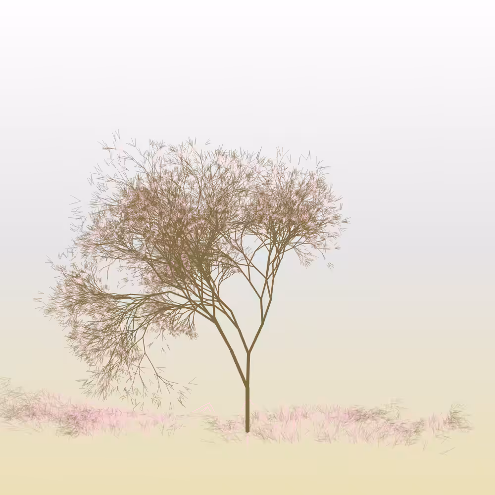 Hanami #39