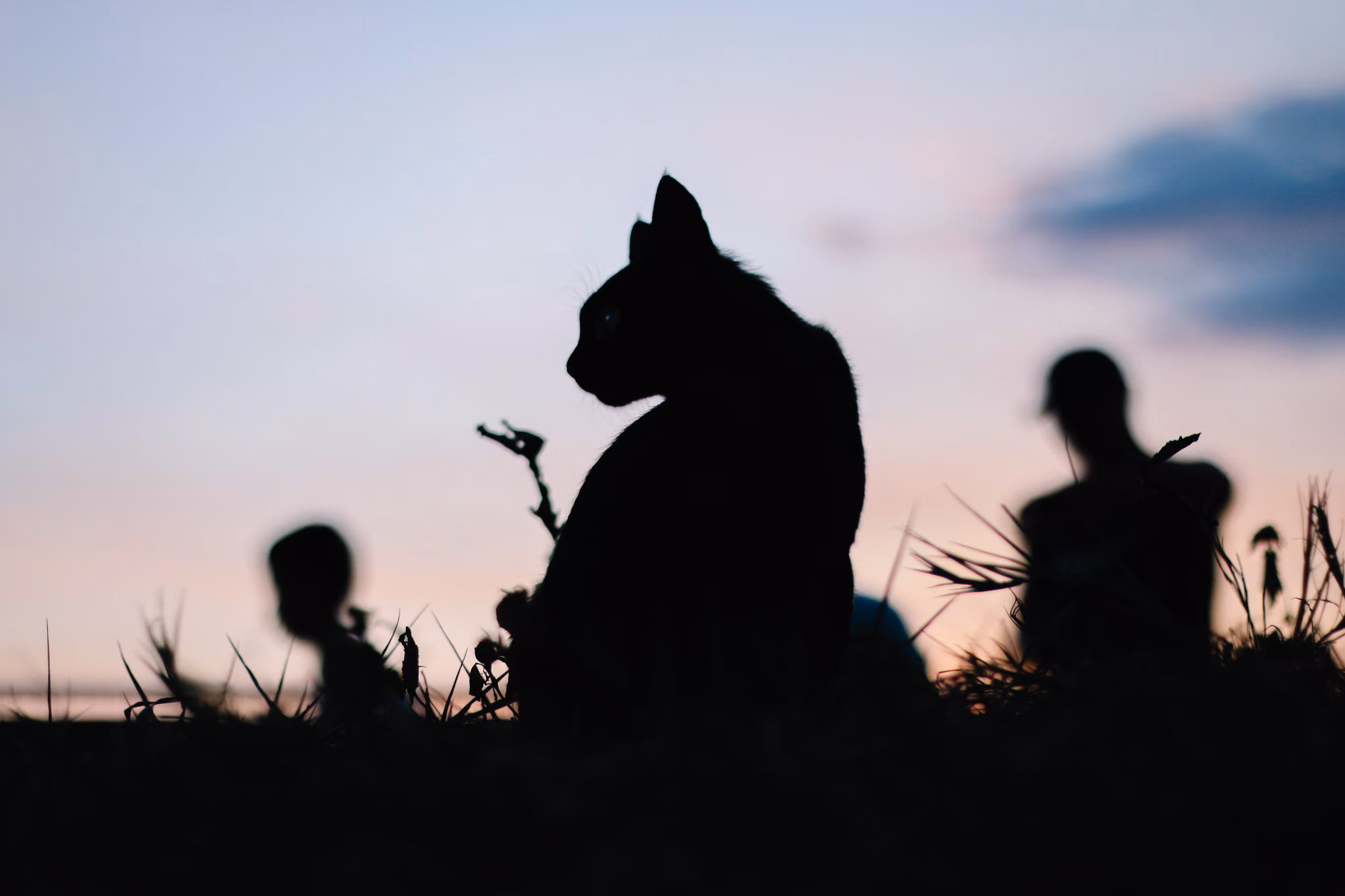 BLACK PANTHER
