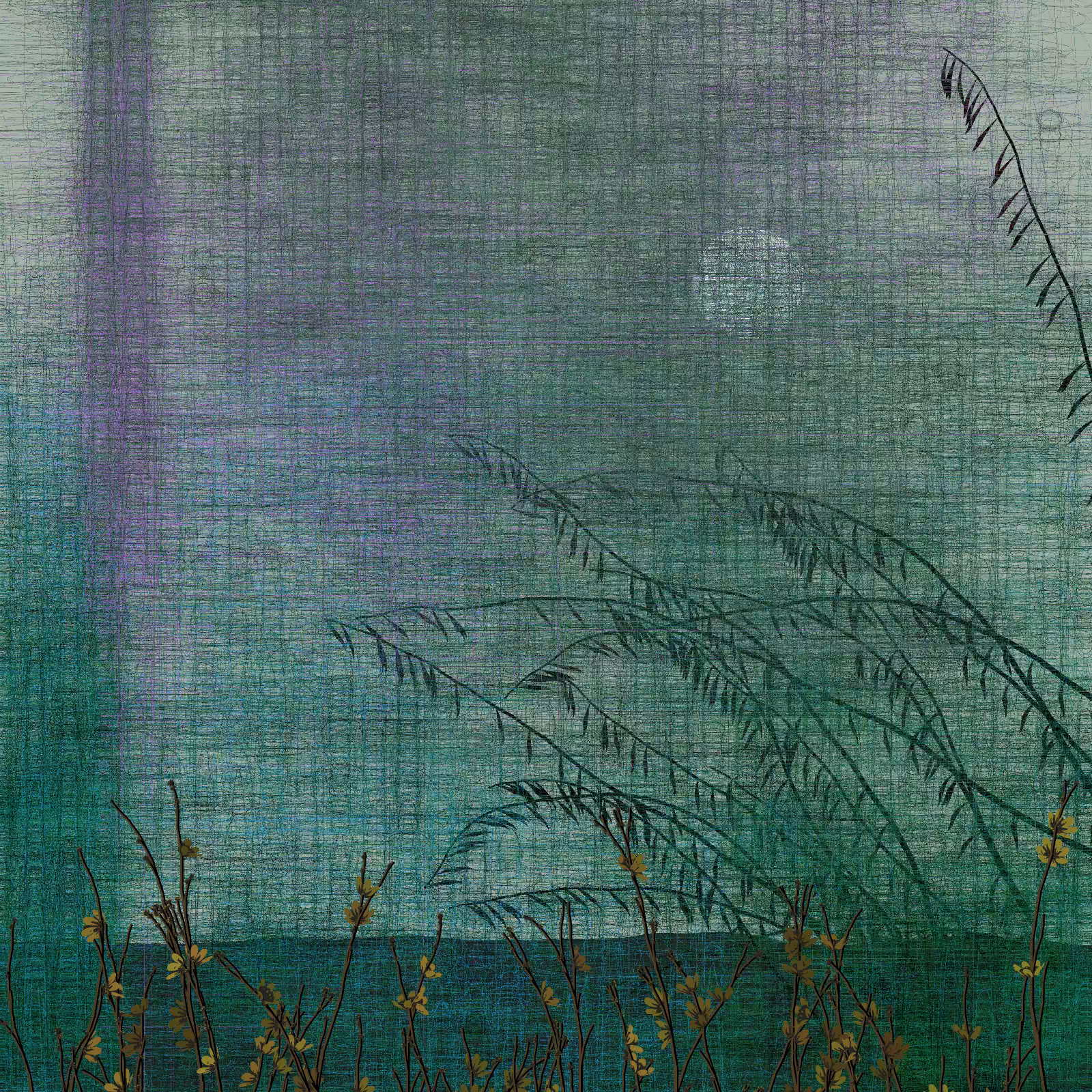 Echoes #54