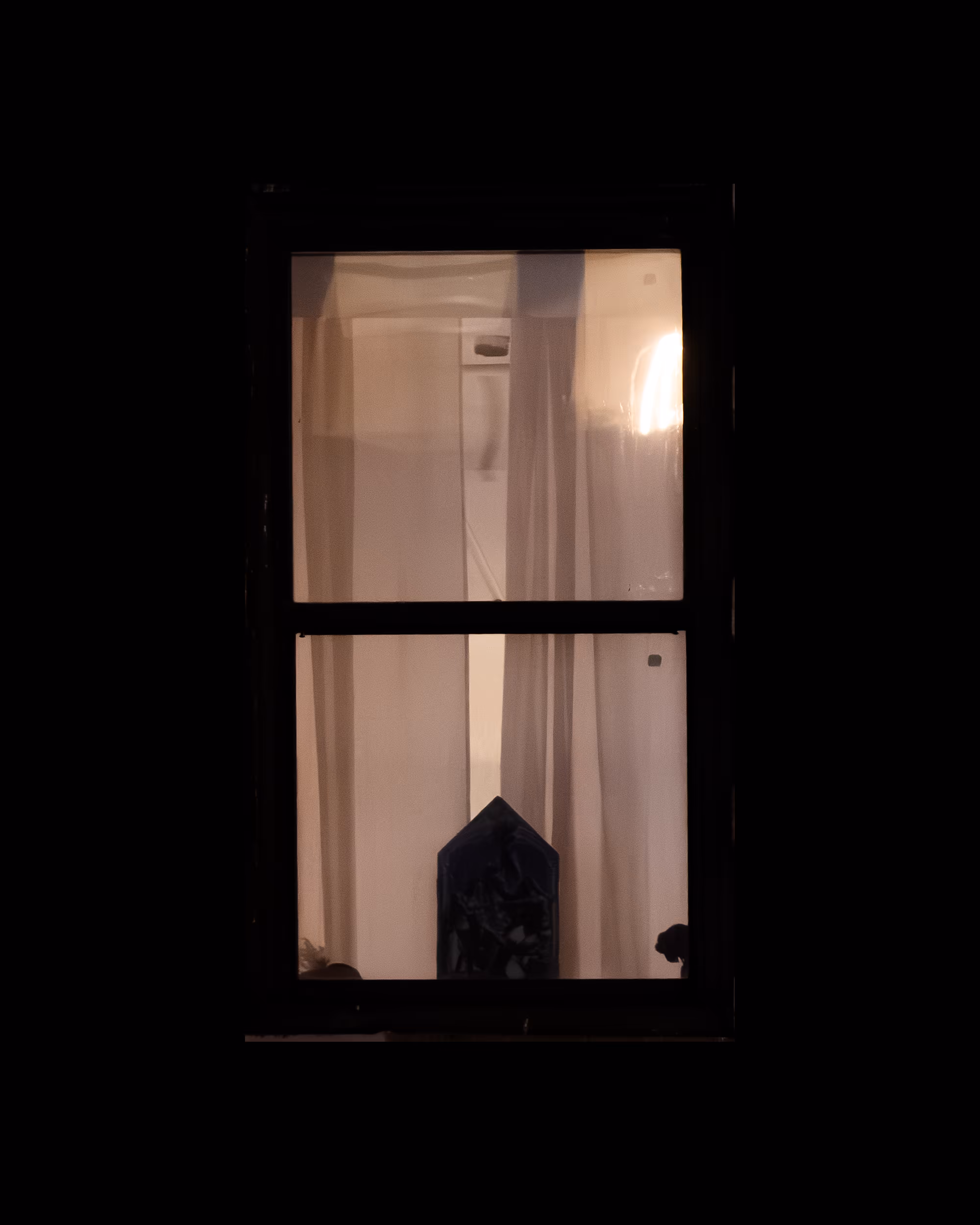 WINDOWS // NYC: WINDOW 22