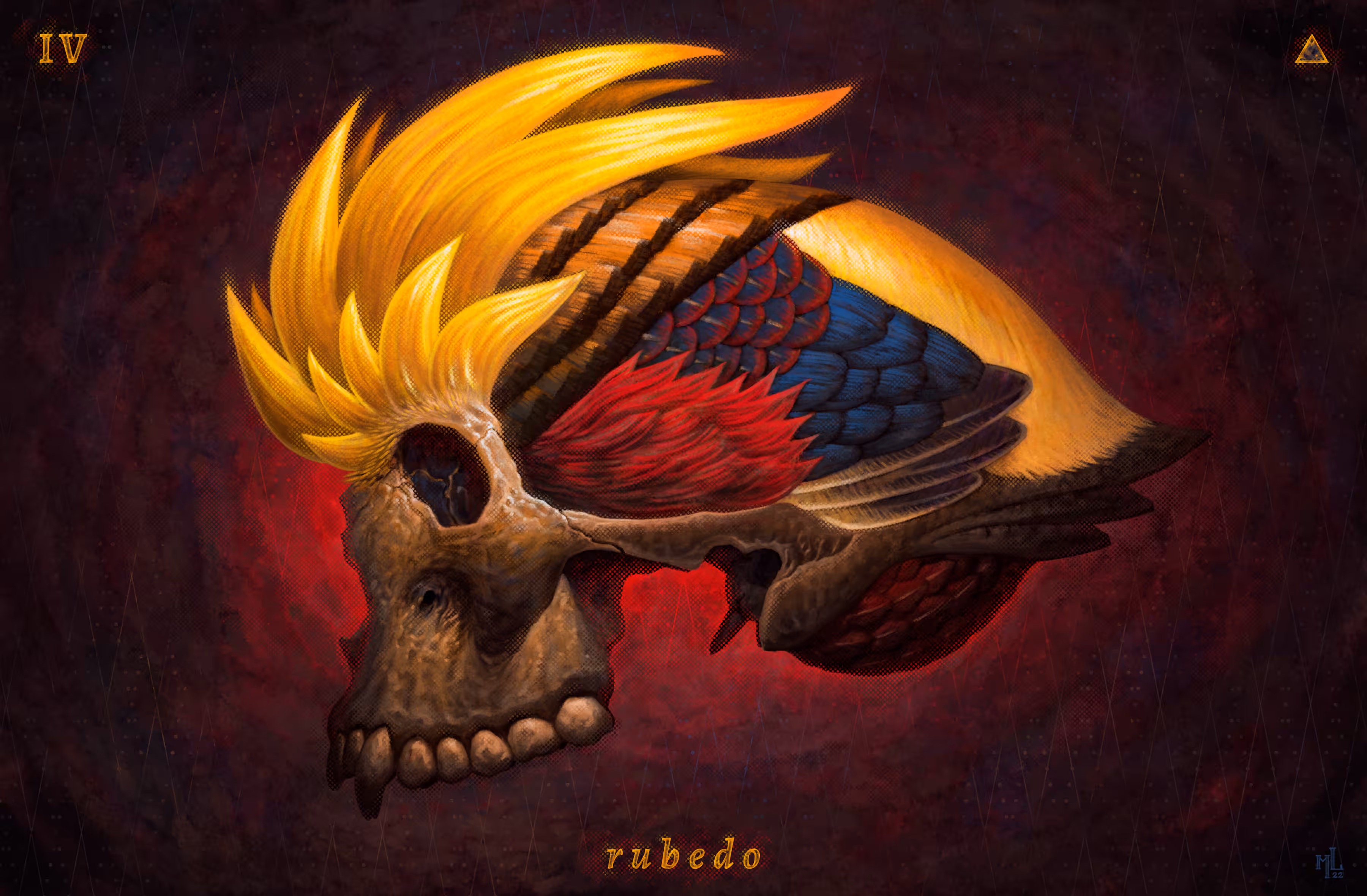 magnum opus iv • rubedo