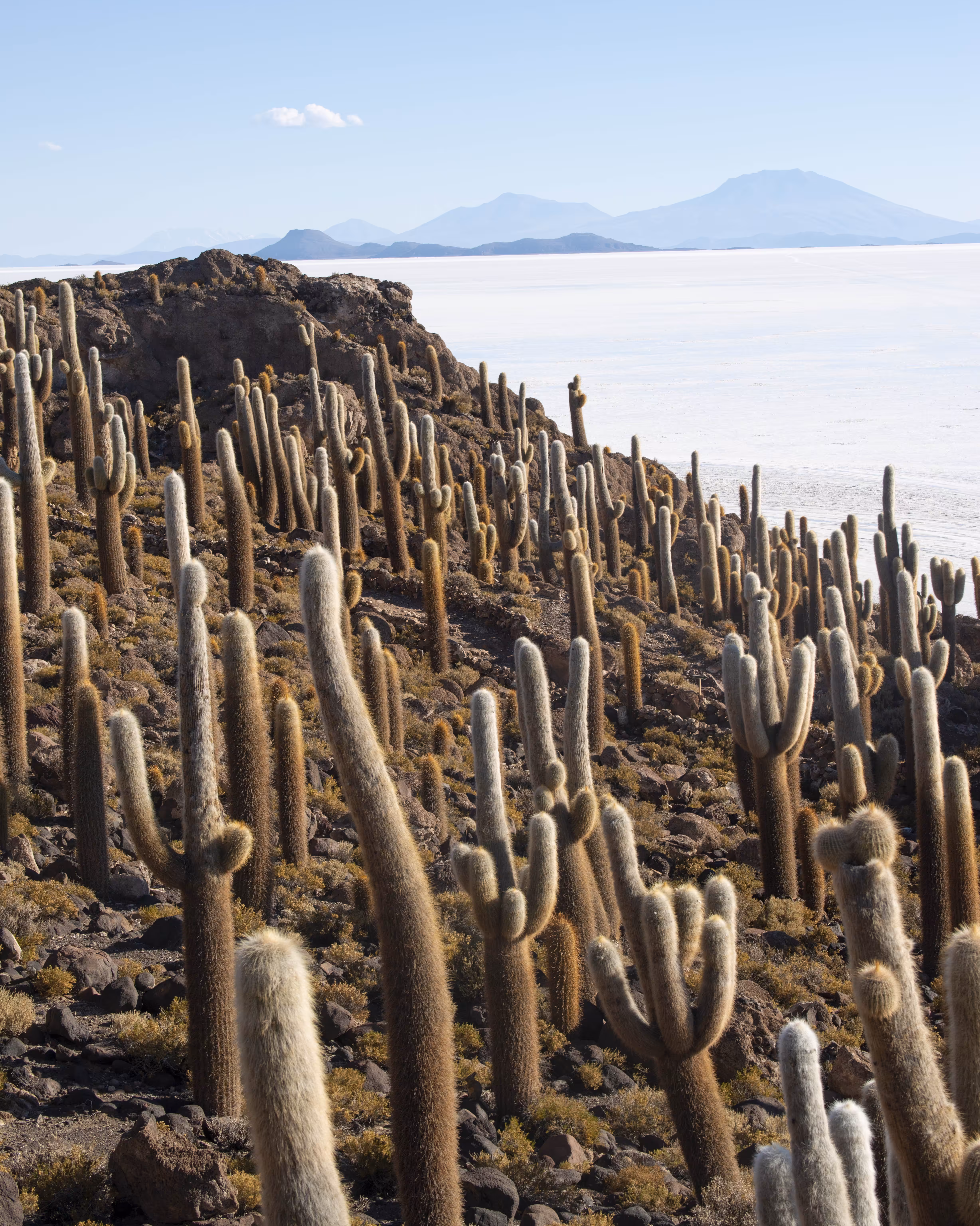Uyuni II