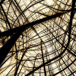 Weird Wired World #8