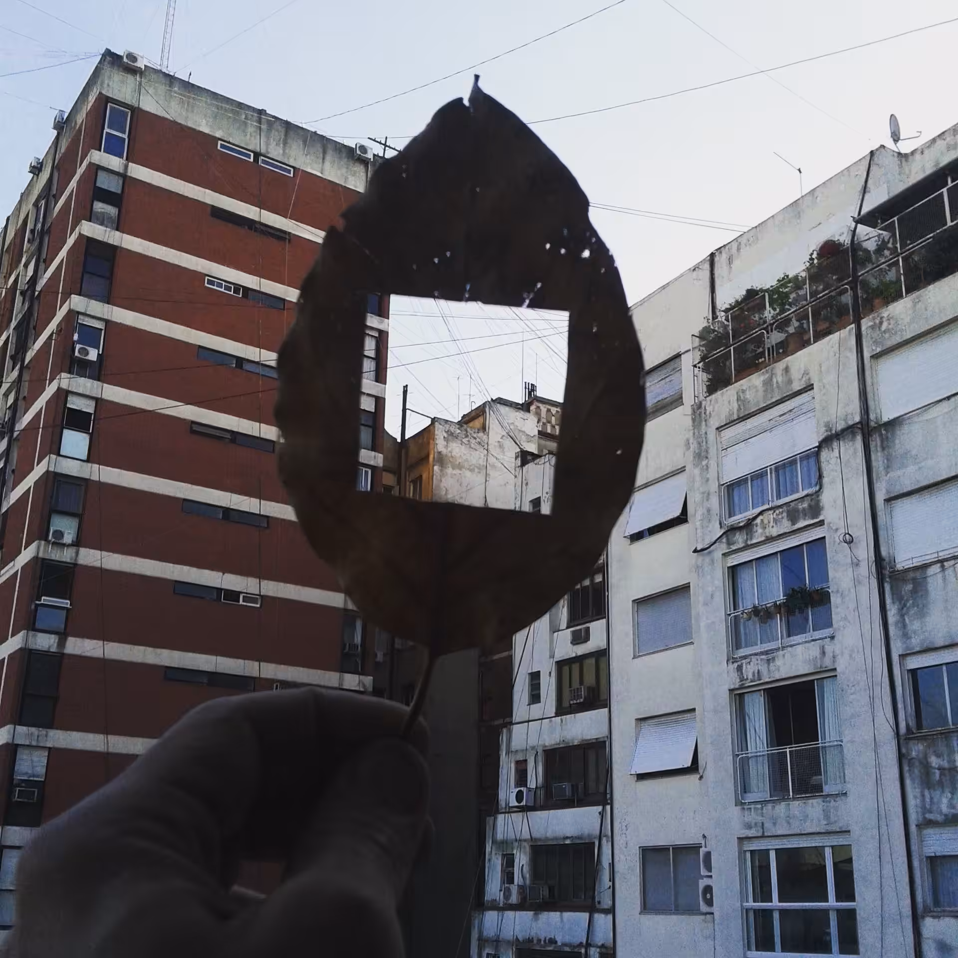 window