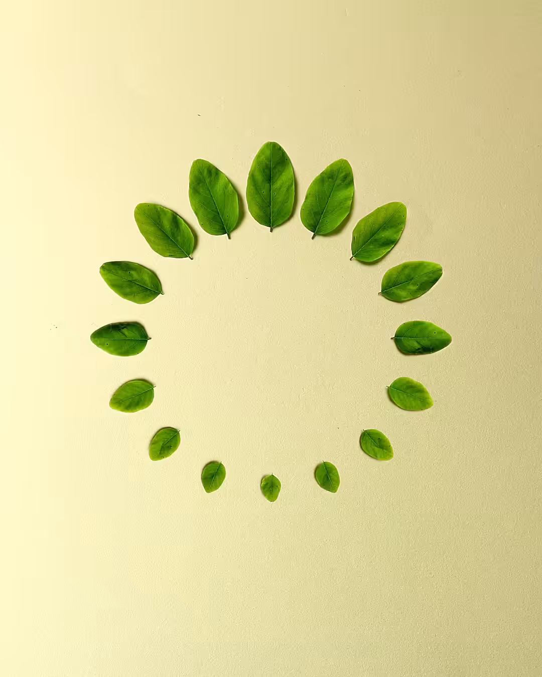 Leaf Loading