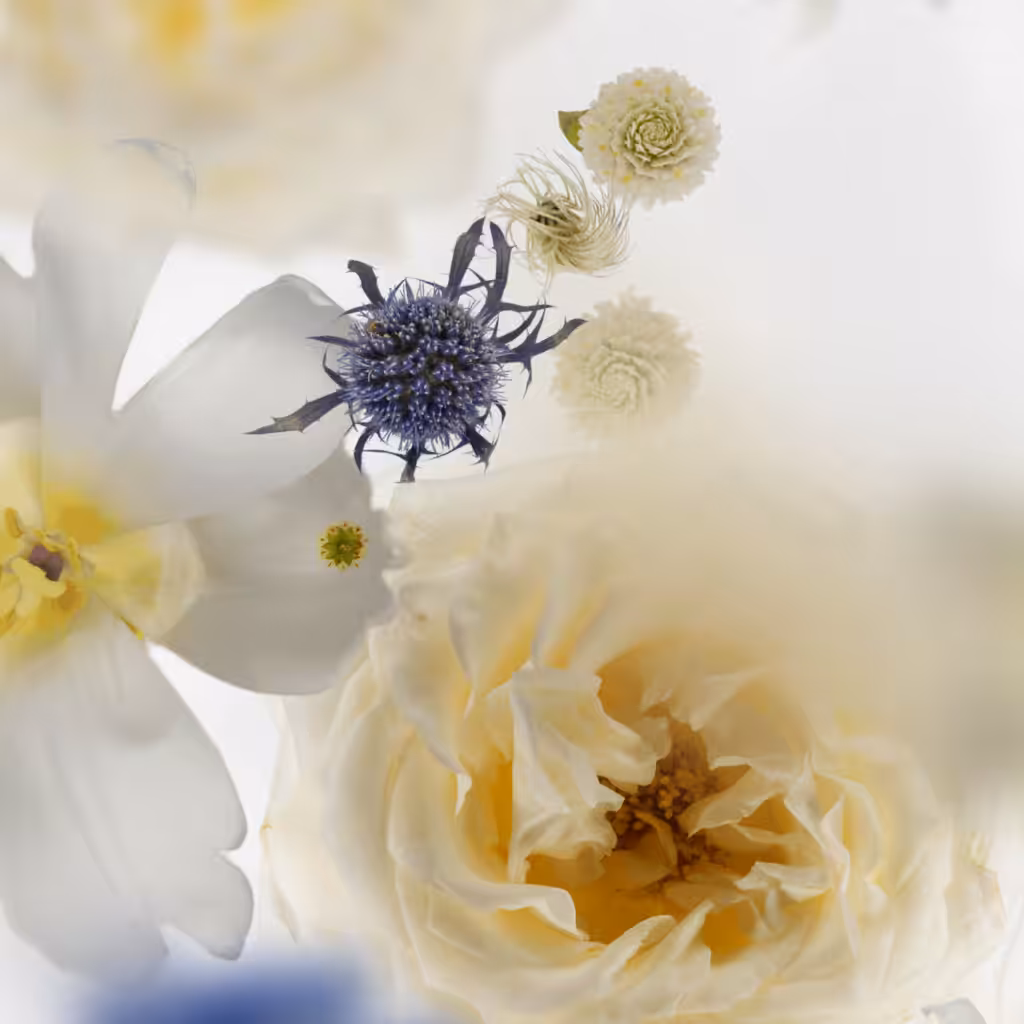 Broken Flowers #3