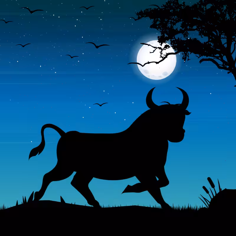 We Care...Bull #7