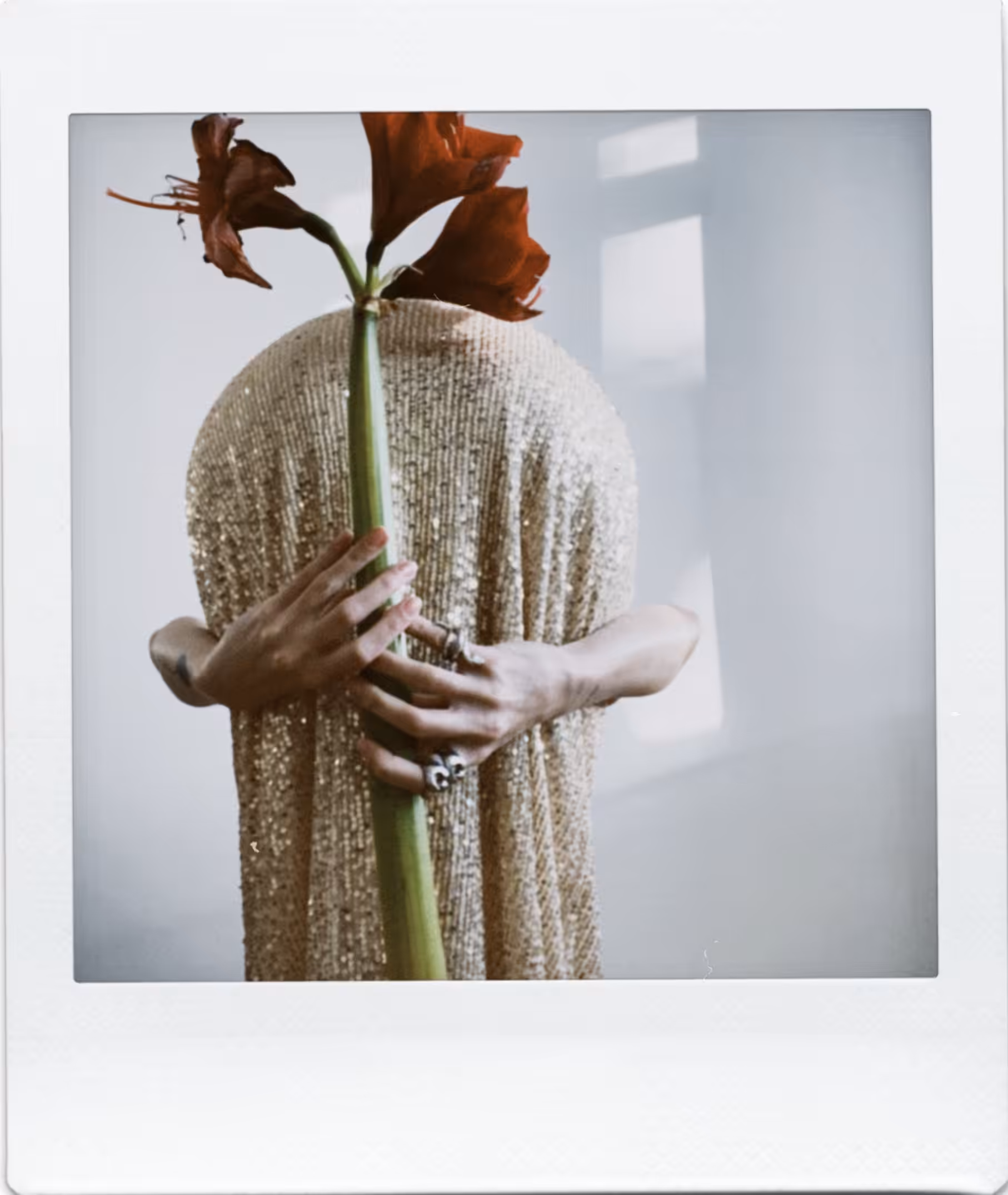 Polaroids with SHE