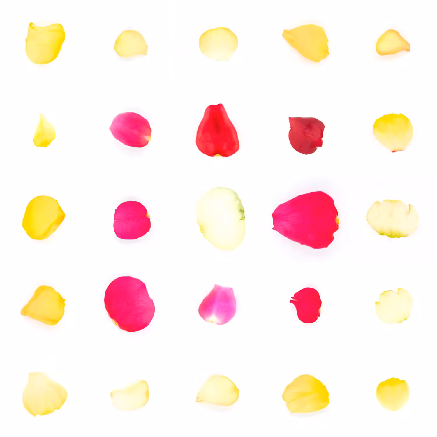 Infinite Petals 5x5#1509