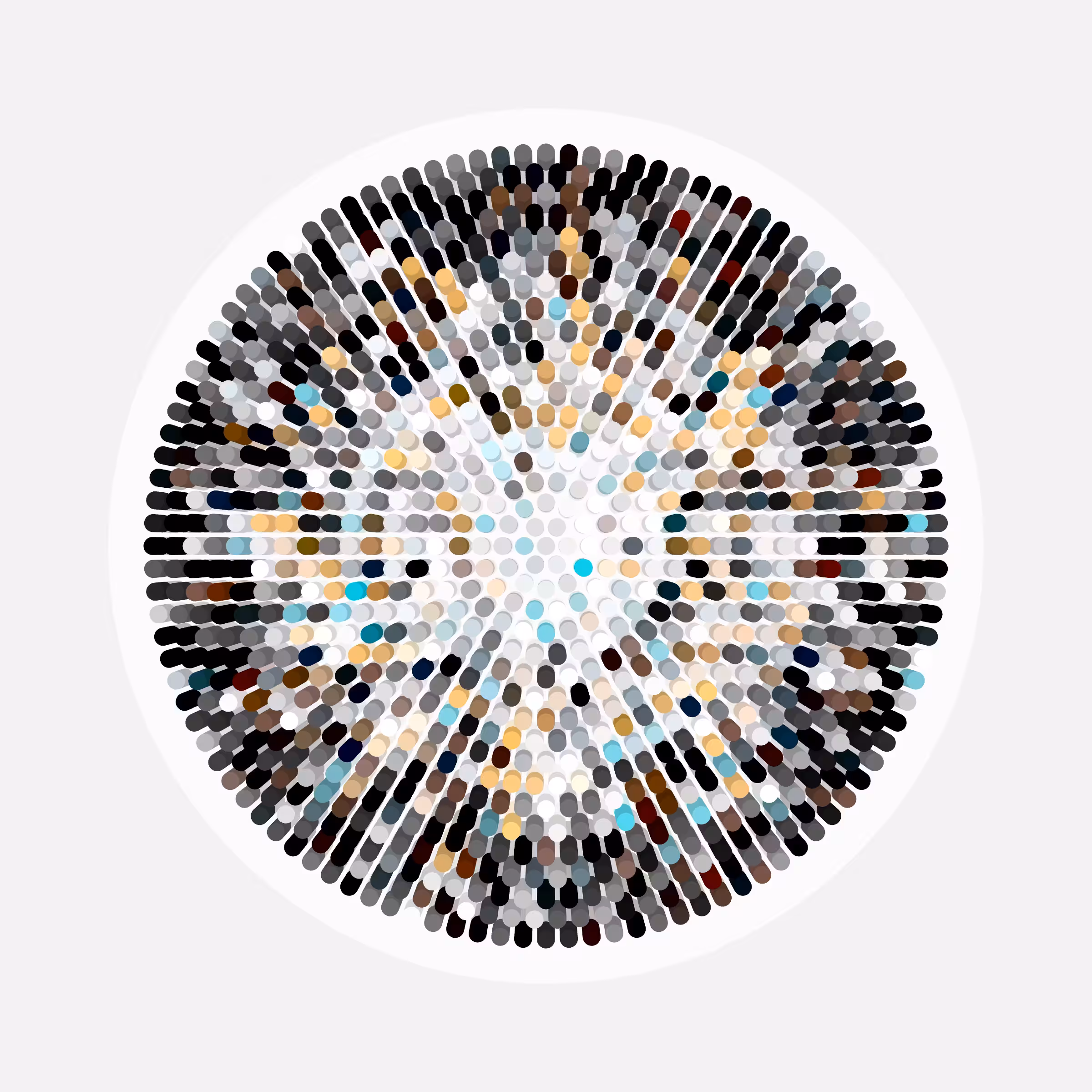 Transitions #3717