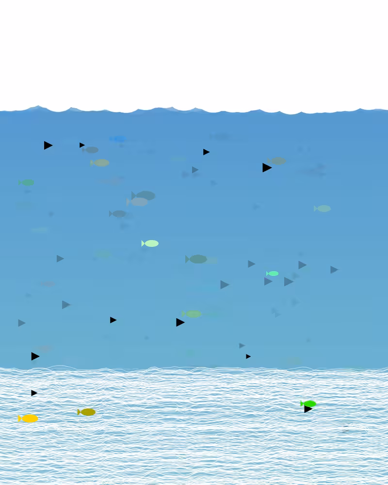 Flying Fish #7