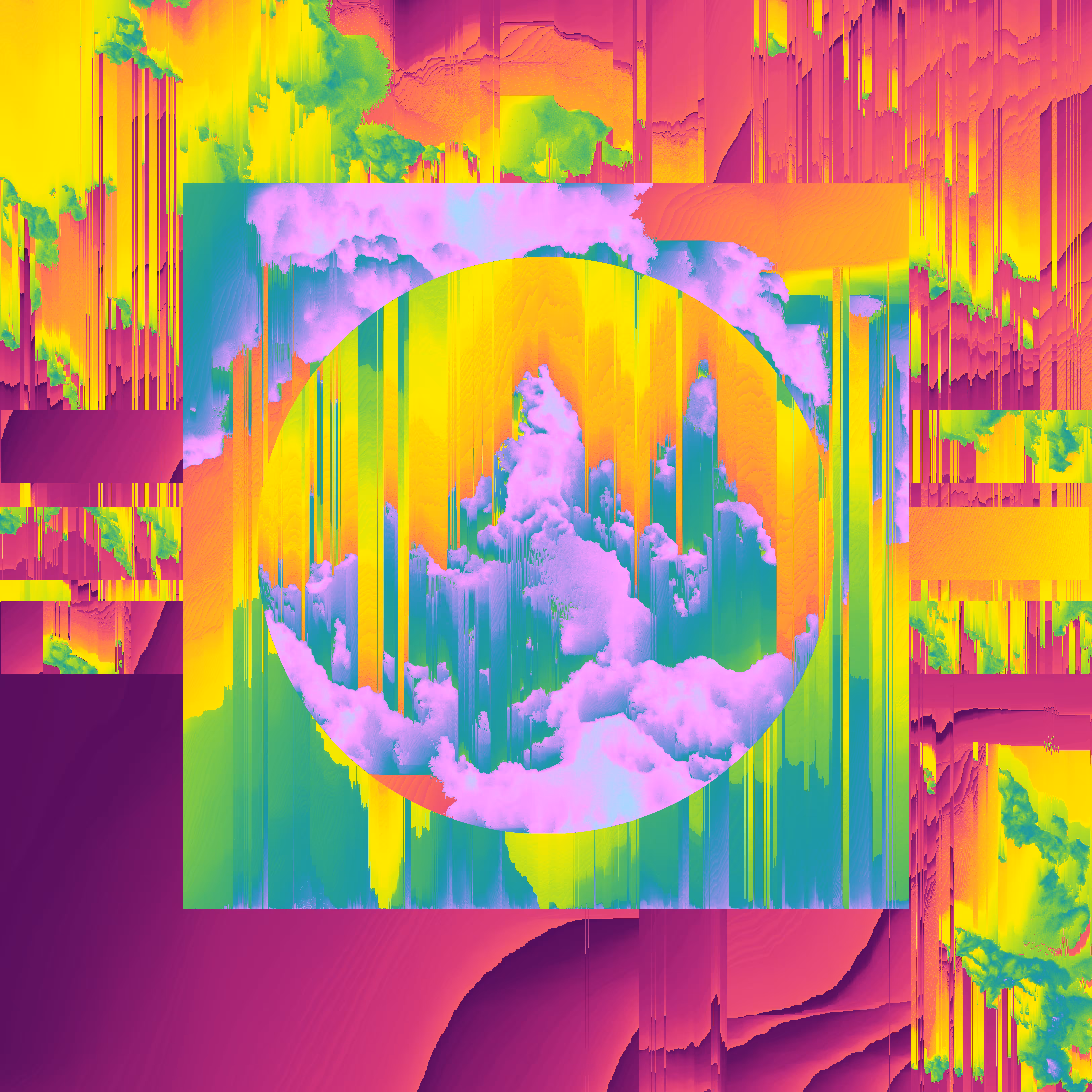 wild_race