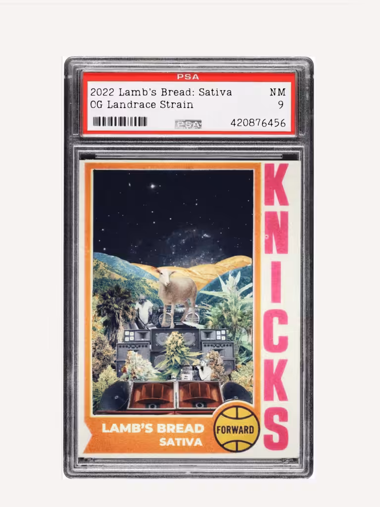 2022 Lamb's Bread TC: Sativa (Landrace/seed)