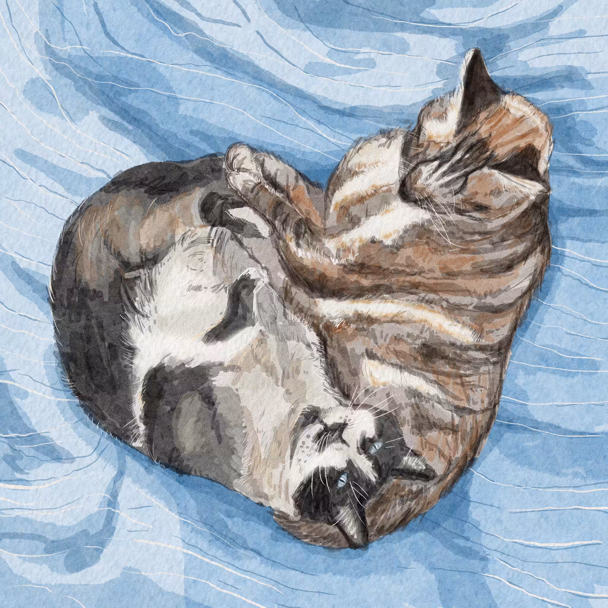 22 - heart