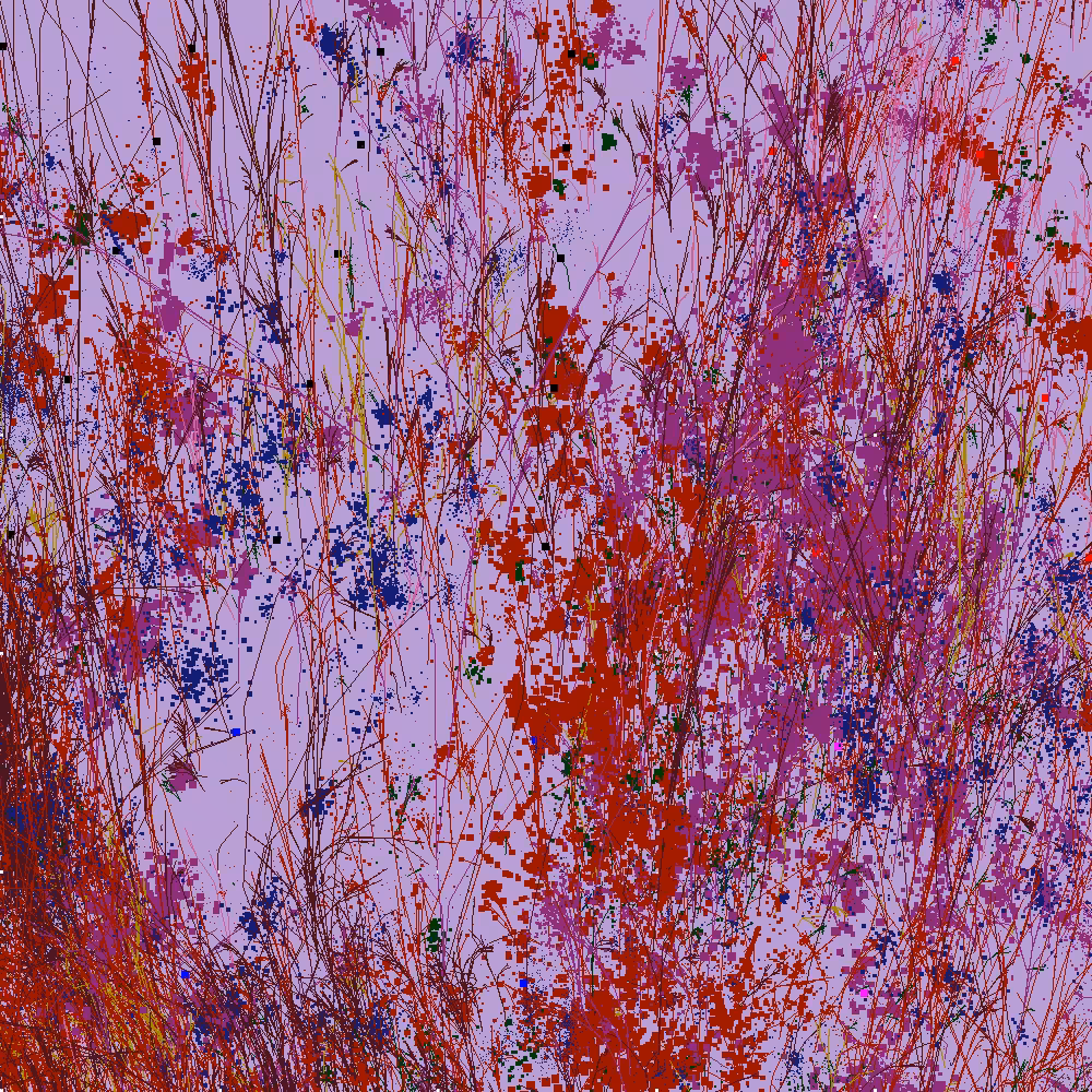 Infinite Garden: 34350 Flowers