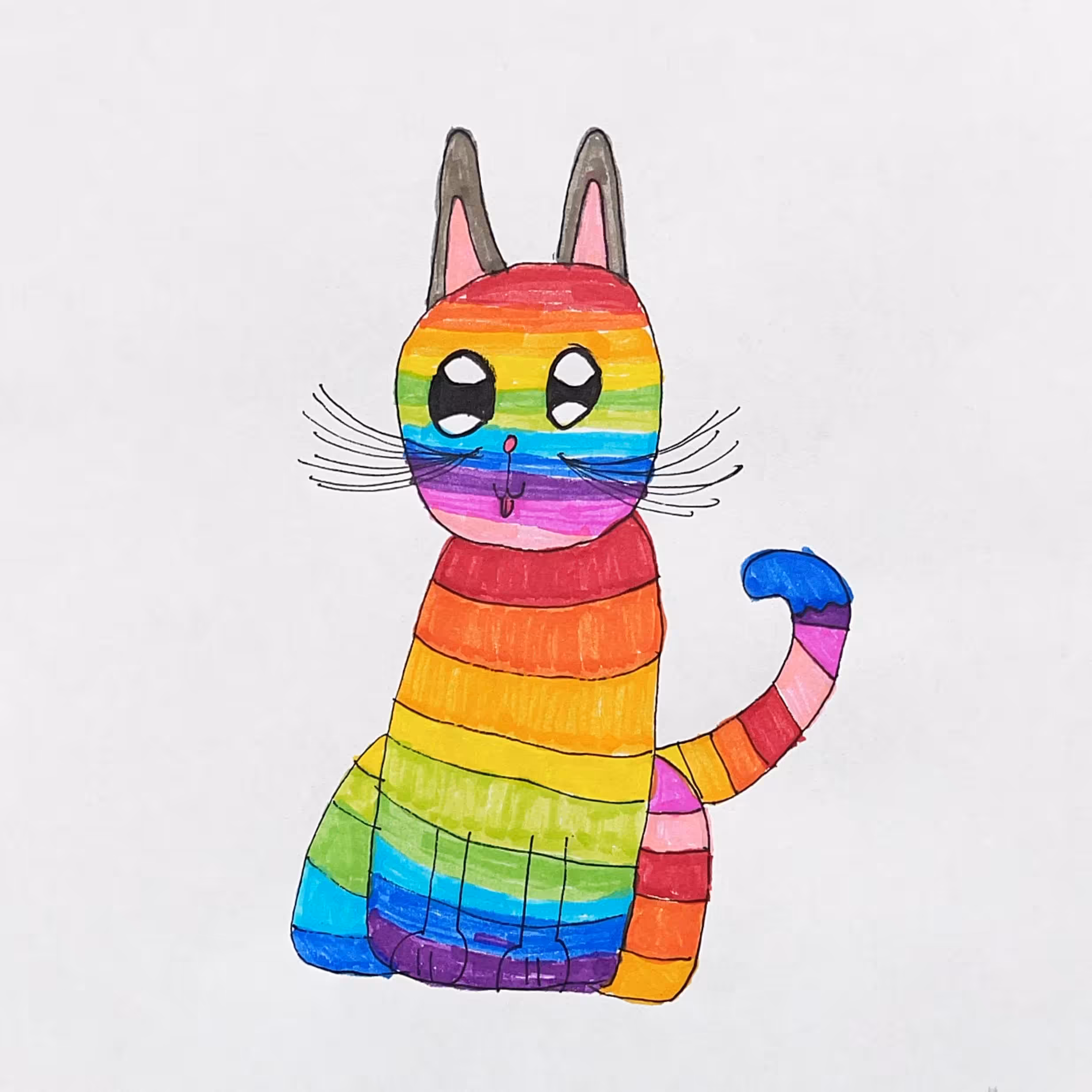 RainbowCat