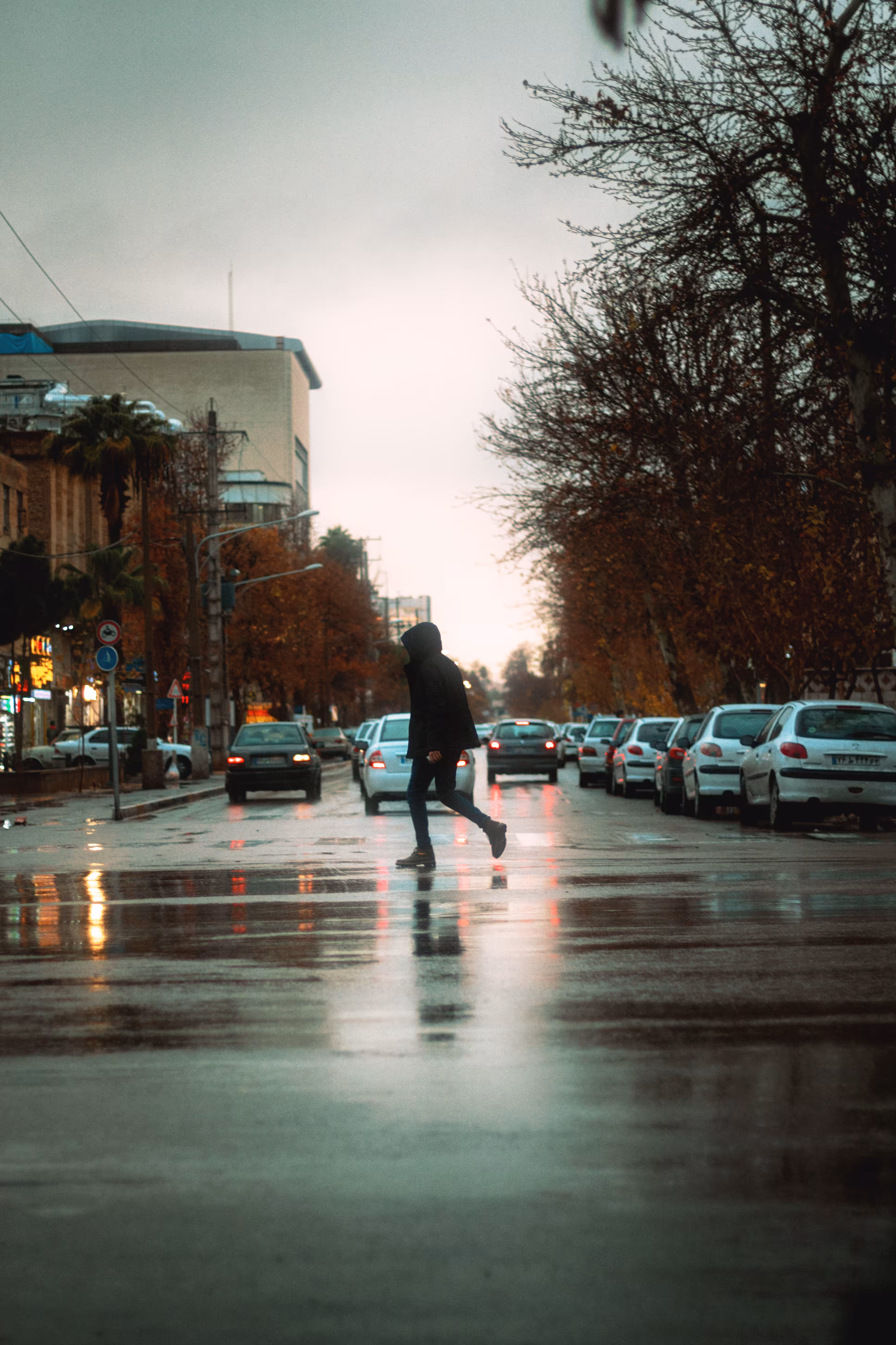 Walking on the road #8