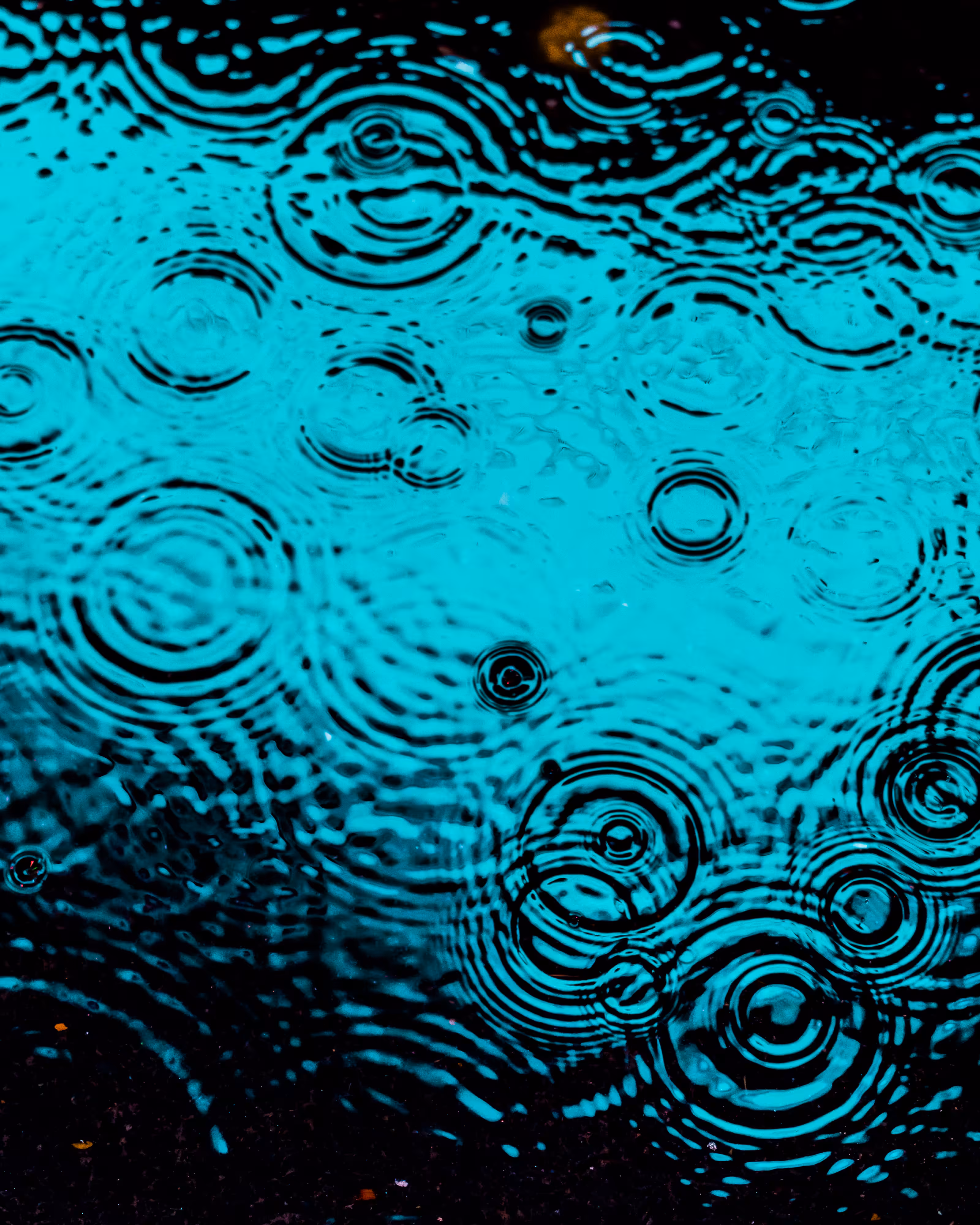 DRIP #49