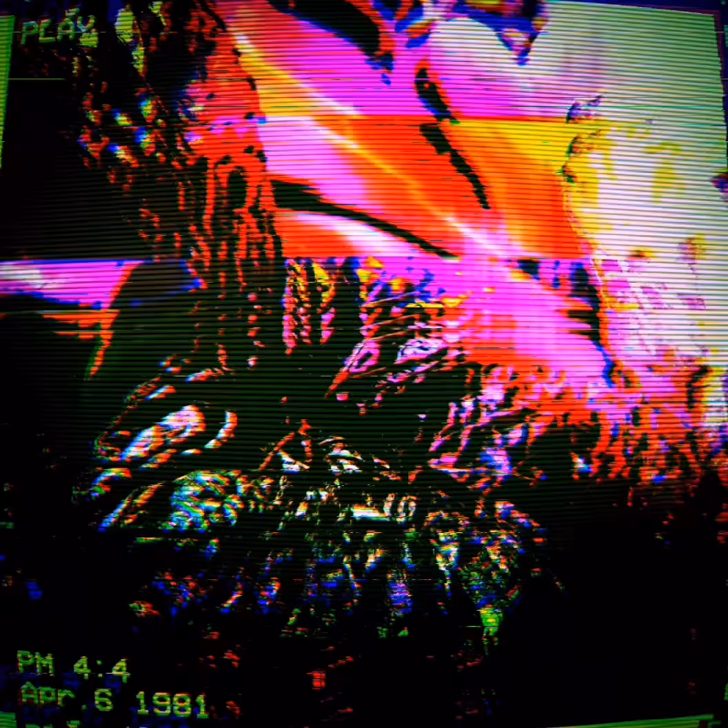 ◦ VAPORPLATE #15 ◦