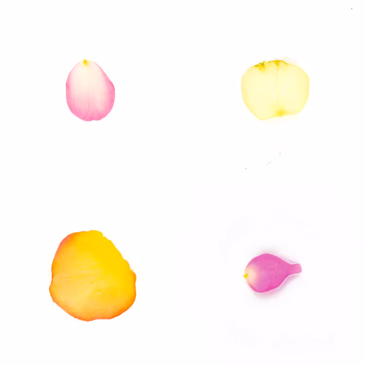 Infinite Petals 2x2#3117