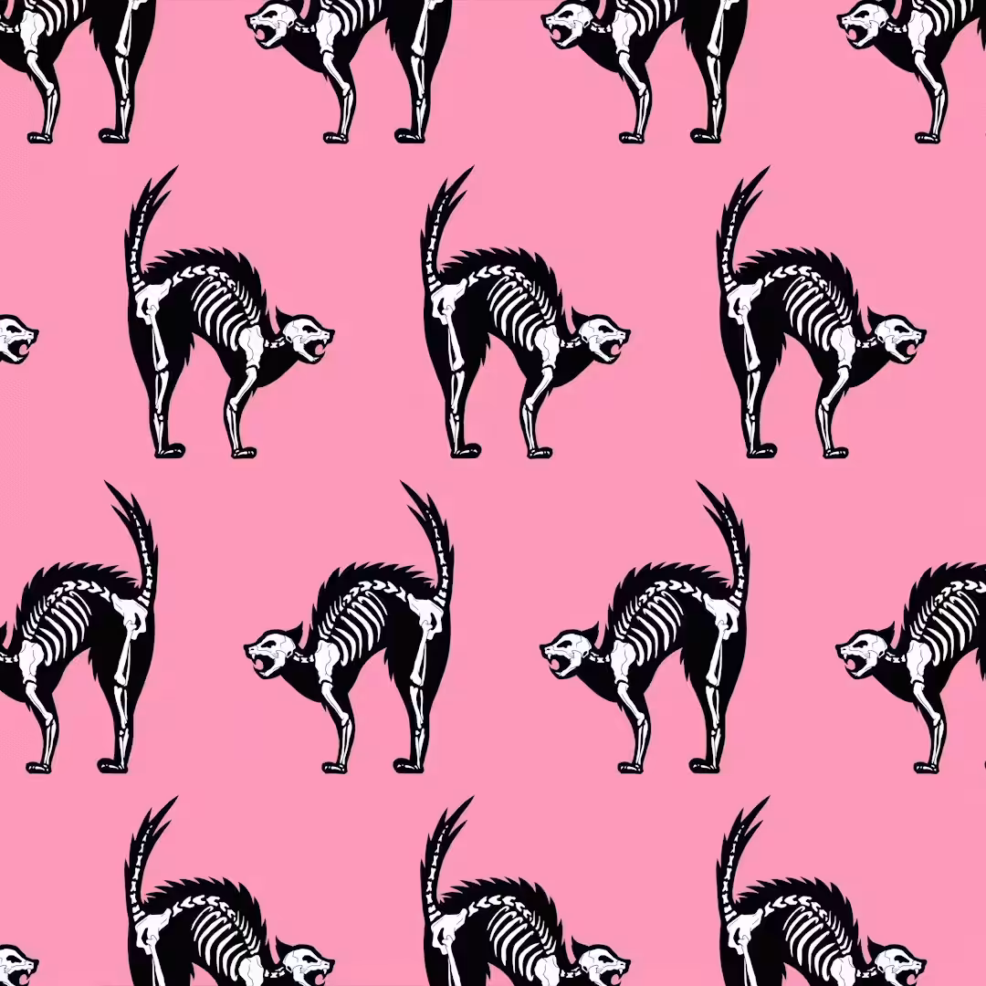 X-CAT