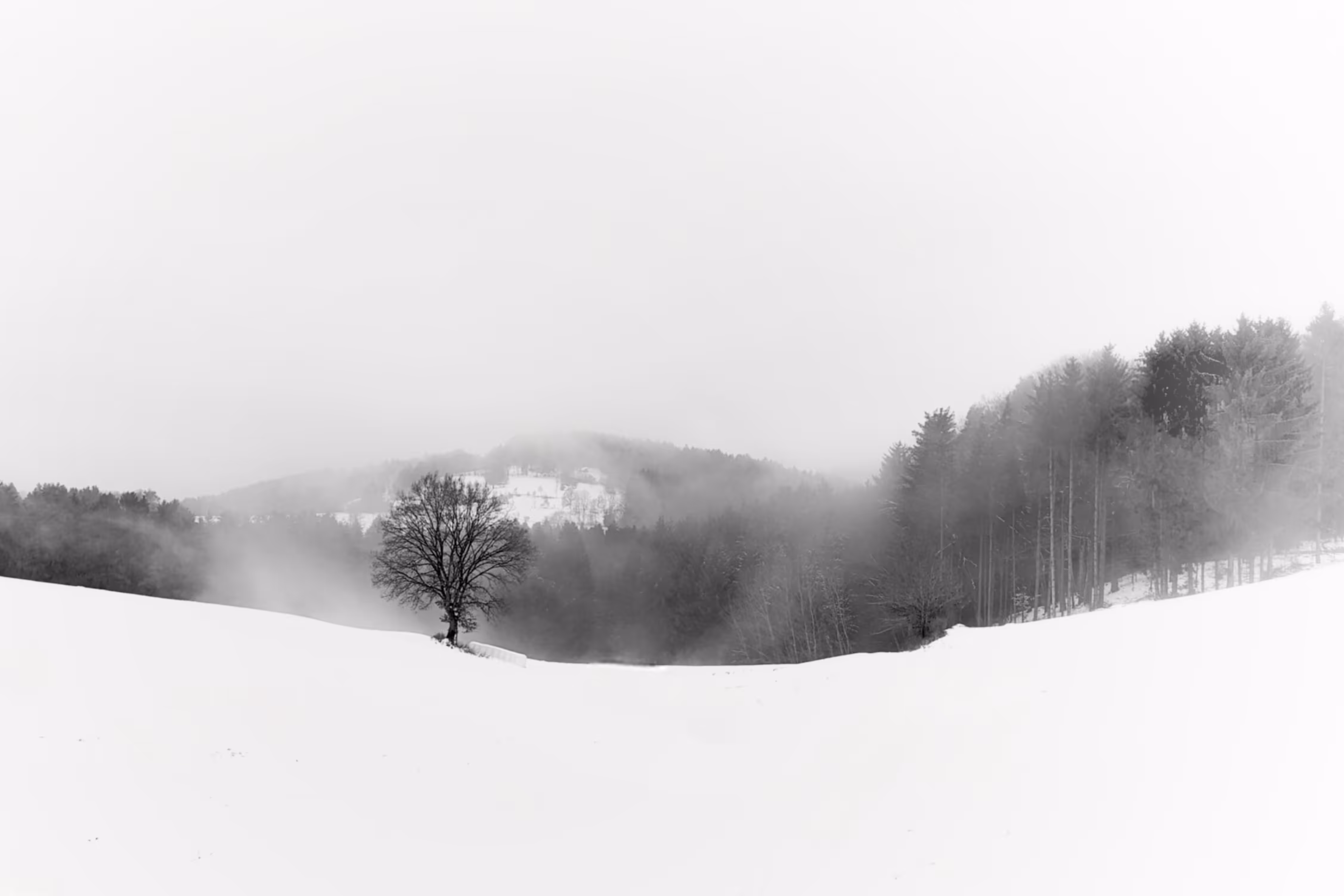 floating tree