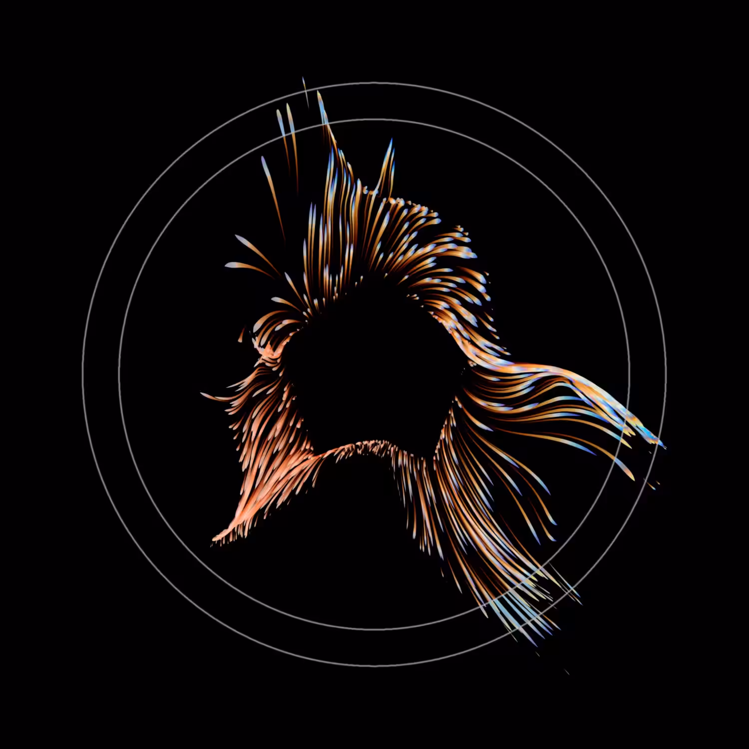 Vortex #1155