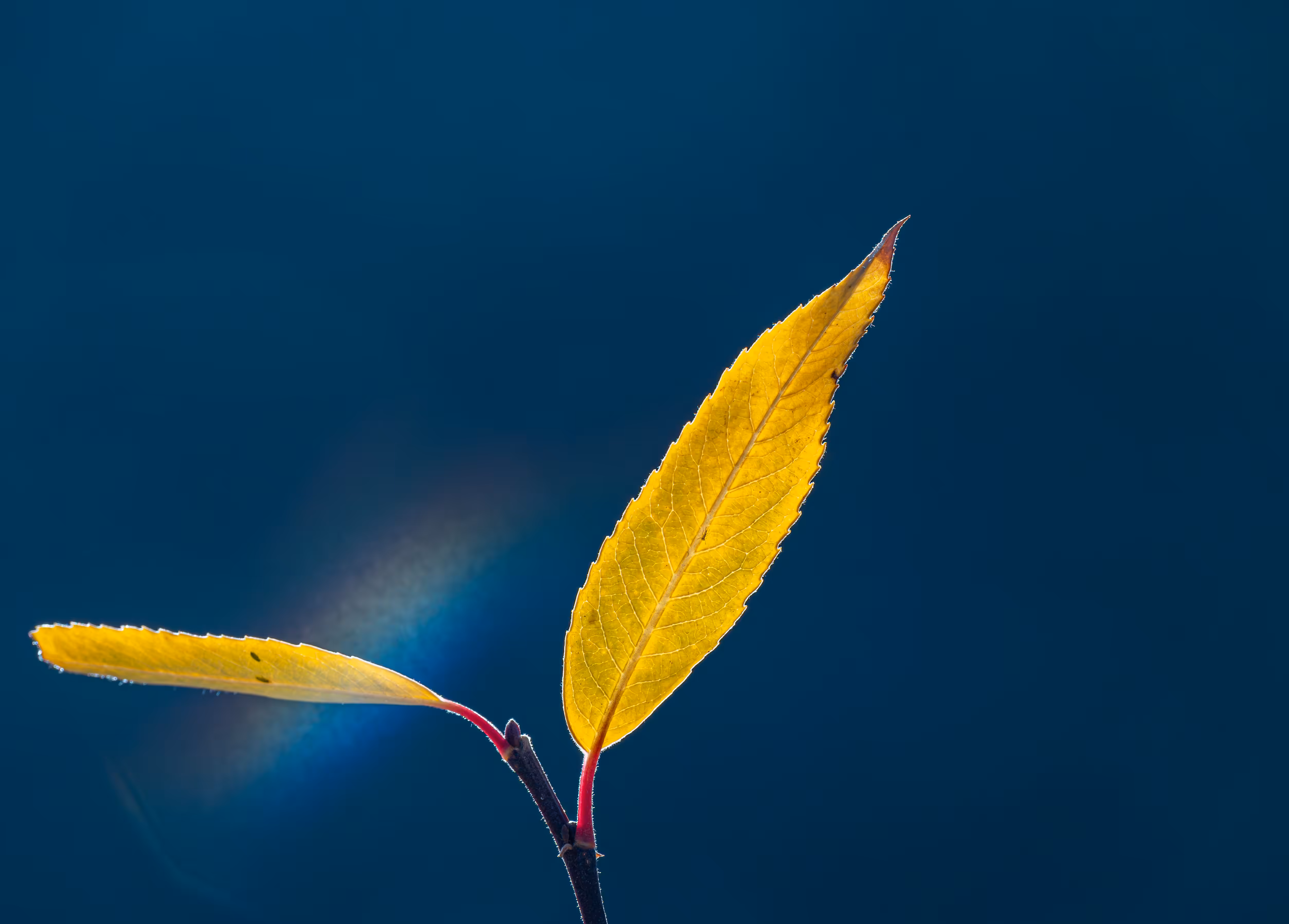 Welcoming Autumn