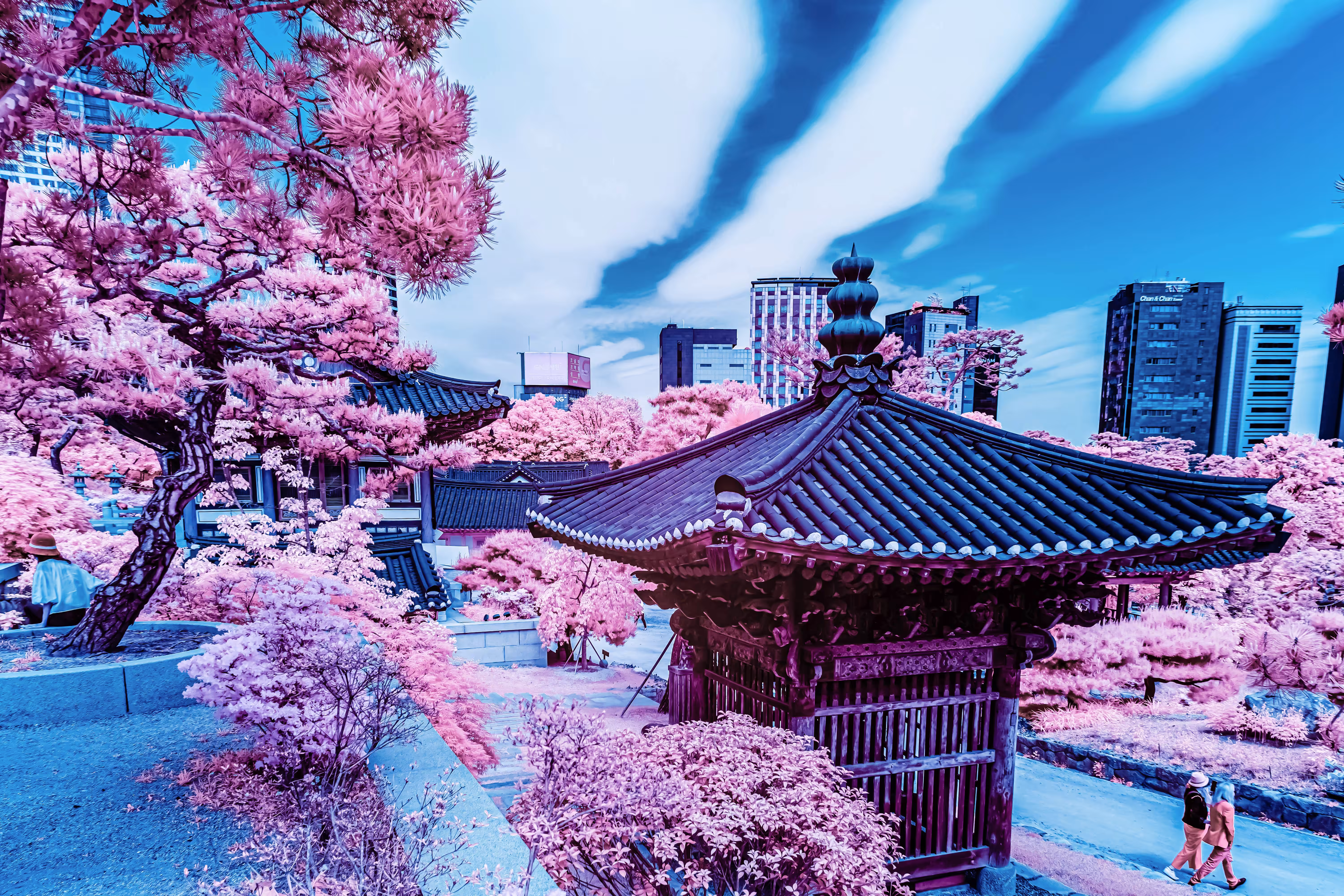 Pink Garden