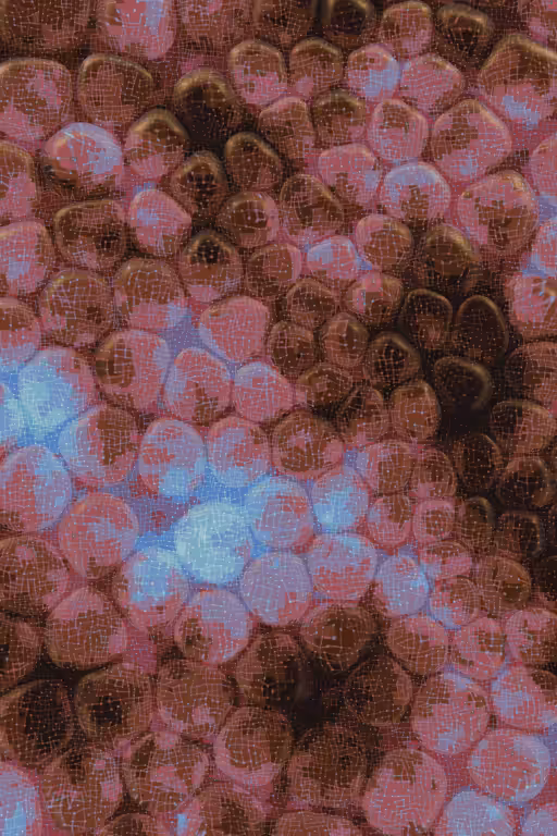 Vitreous #102