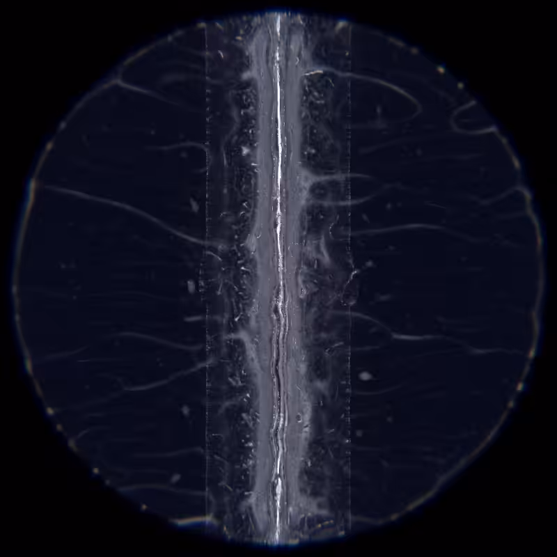 Ethereal Microcosm #270