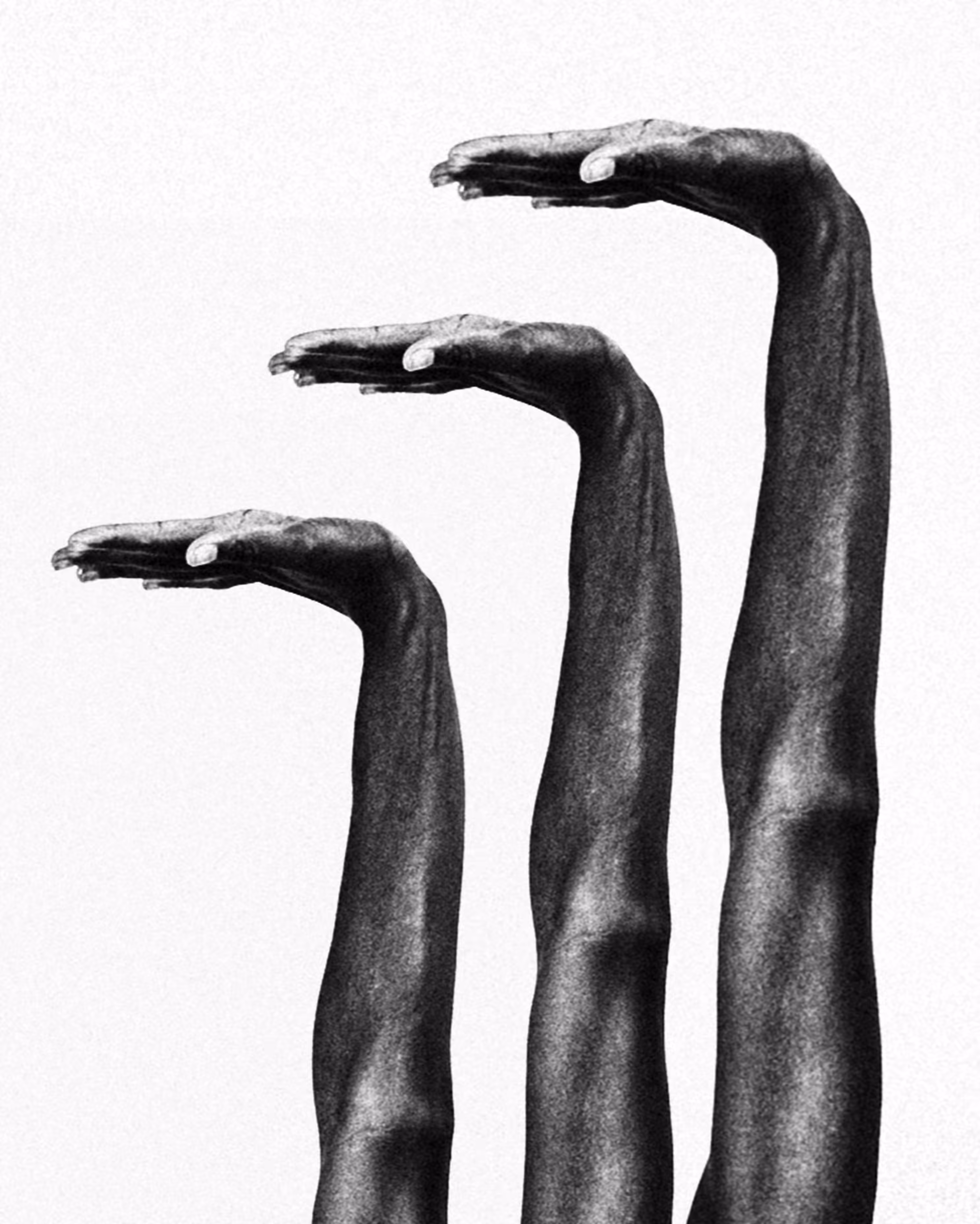 Elastic Mind