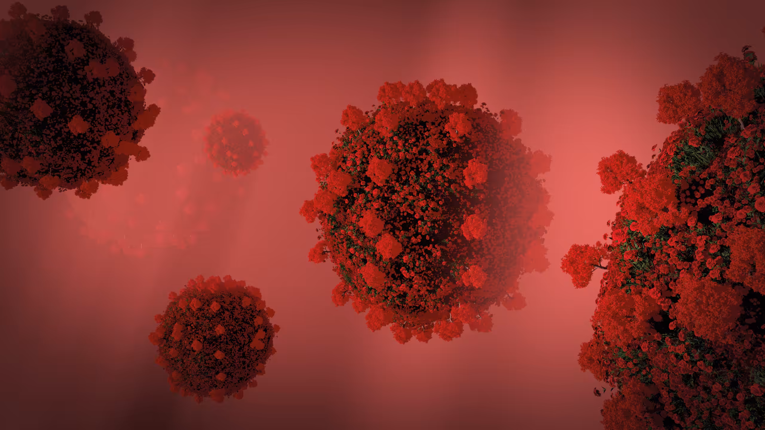 Corosa Virus