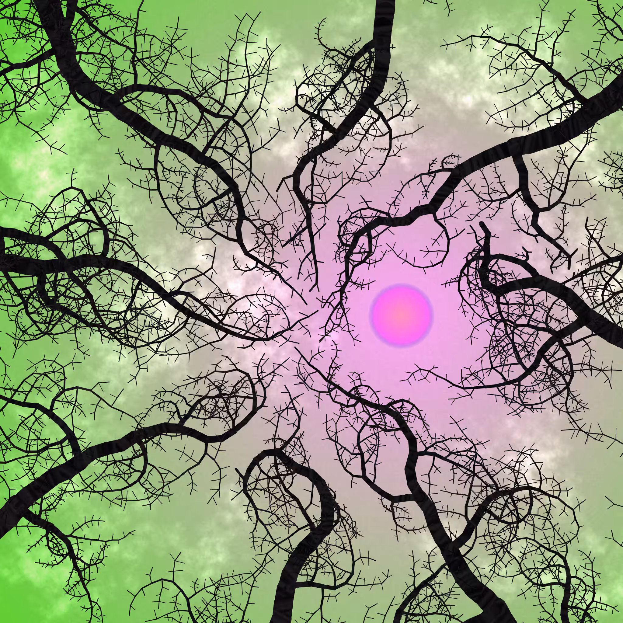 Tree Skyness #2